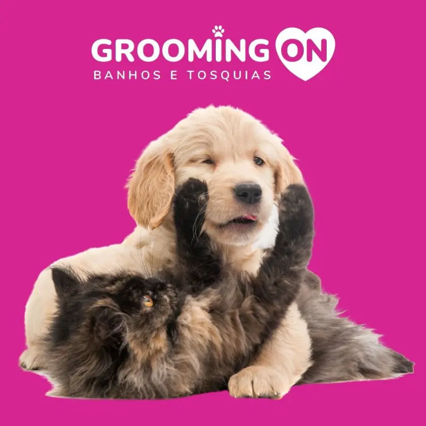 Grooming - Baths and Haircuts for dogs and cats Óbidos Portugal